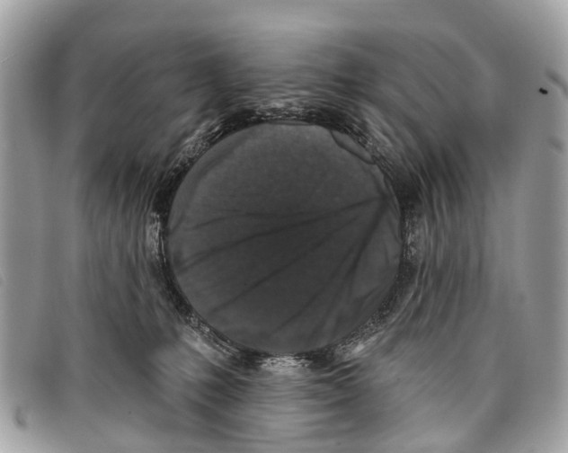 X0000097850231200804111135