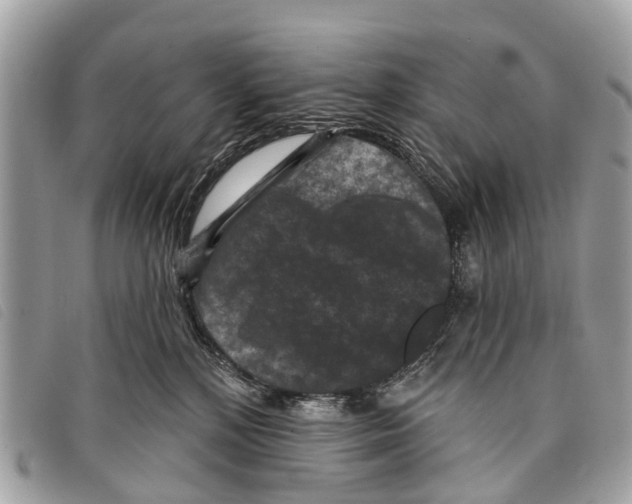 X0000097850232200804111135