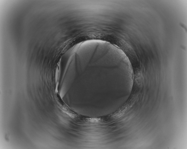 X0000097850233200804111135