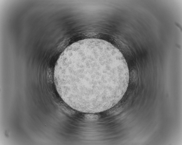 X0000097850234200804111135