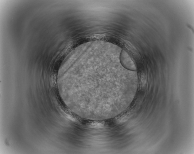 X0000097850236200804111135