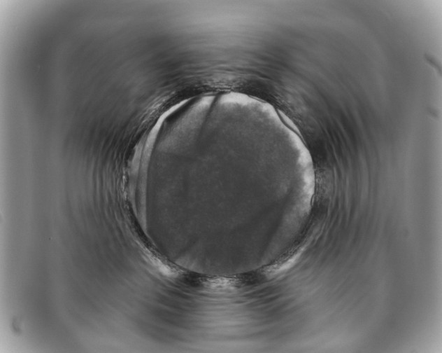 X0000097850237200804111135