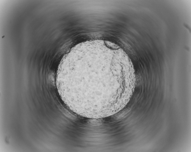 X0000097850238200804111135