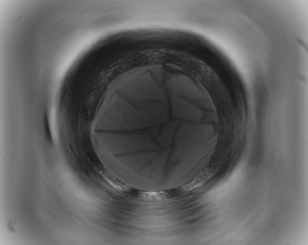 X0000097850239200804111135