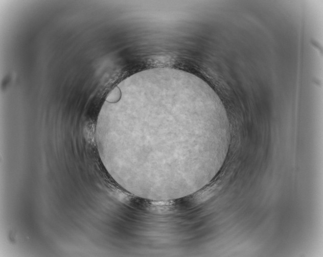 X0000097850240200804111135