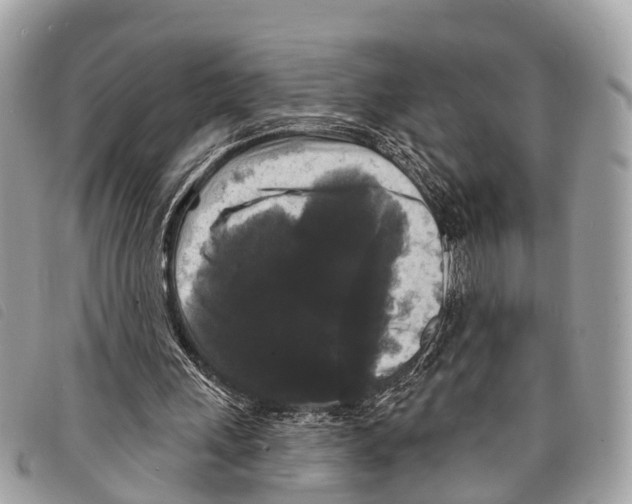 X0000097850243200804111135