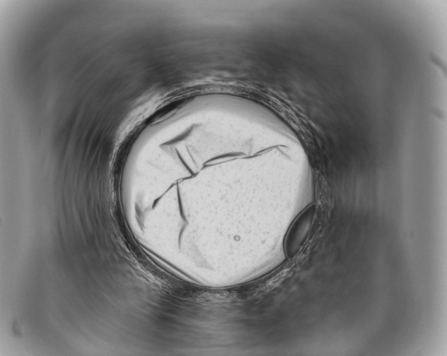 X0000097850245200804111135