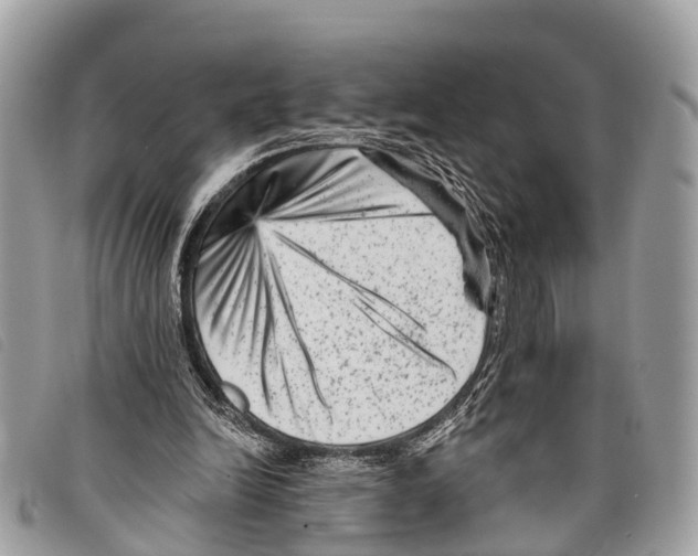 X0000097850246200804111135