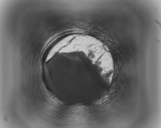 X0000097850247200804111135