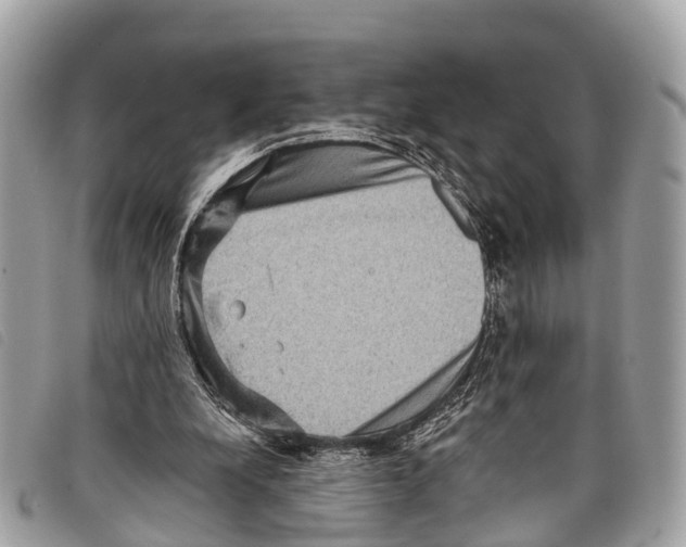 X0000097850248200804111135