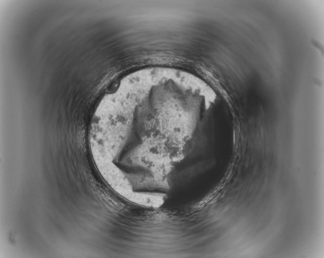 X0000097850249200804111135