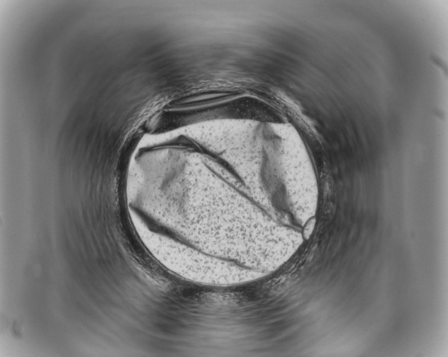 X0000097850250200804111135