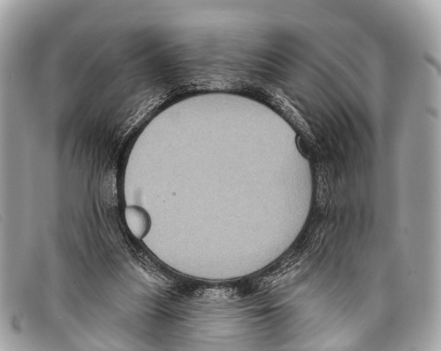 X0000097850251200804111135