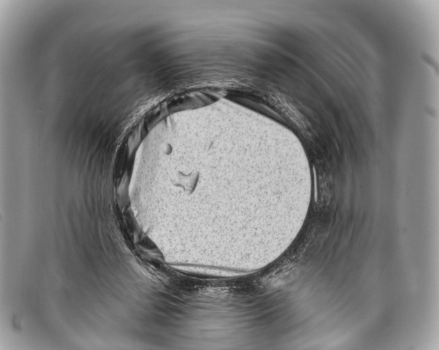 X0000097850252200804111135