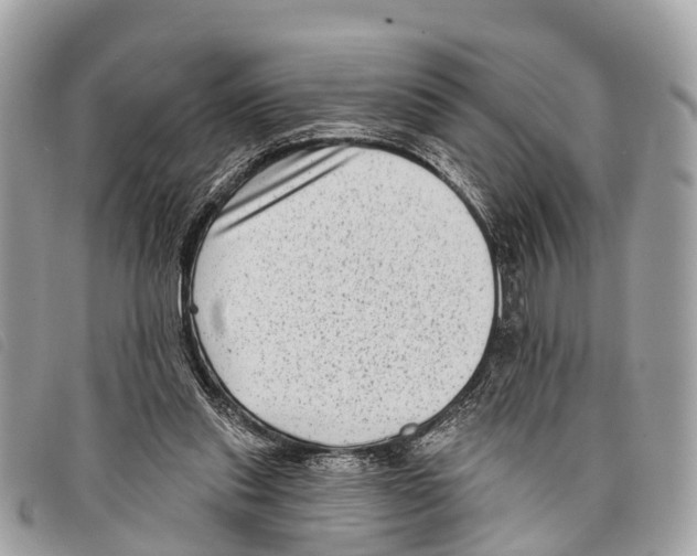 X0000097850253200804111135