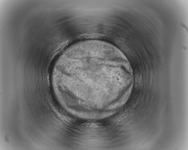 X0000097850254200804111135