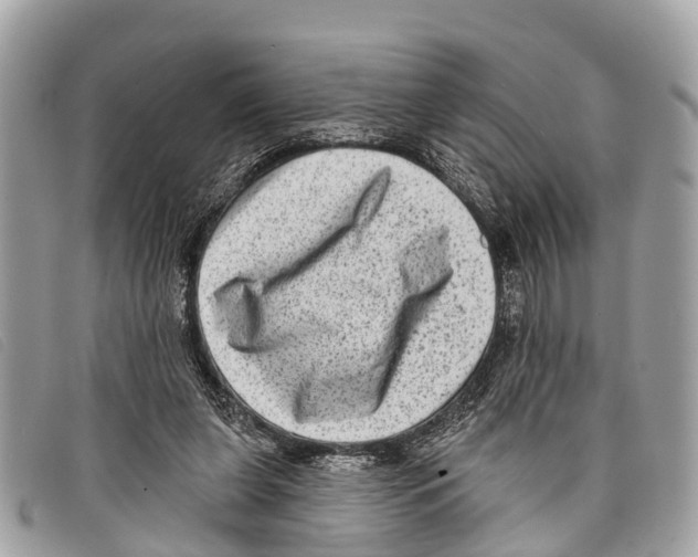 X0000097850255200804111135