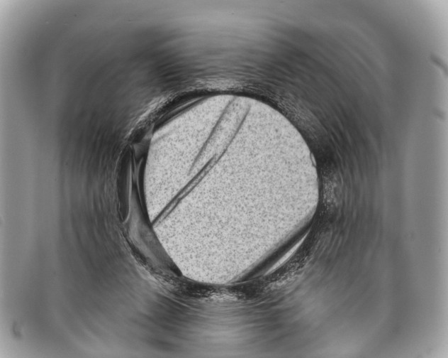 X0000097850256200804111135