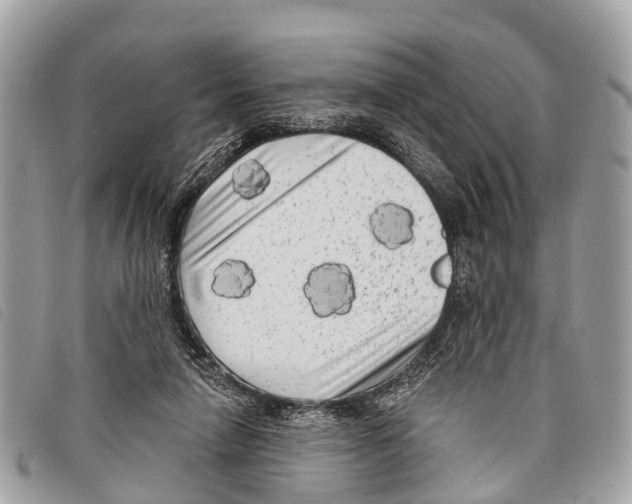 X0000097850258200804111135