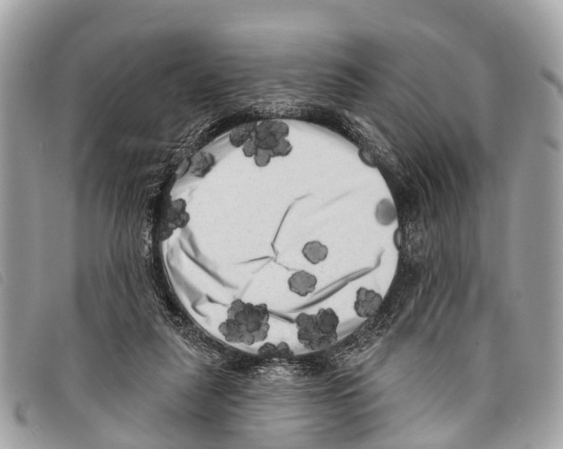 X0000097850259200804111135