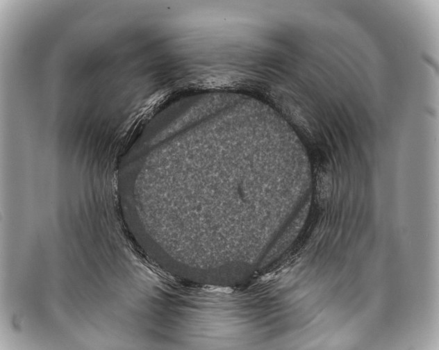 X0000097850260200804111135