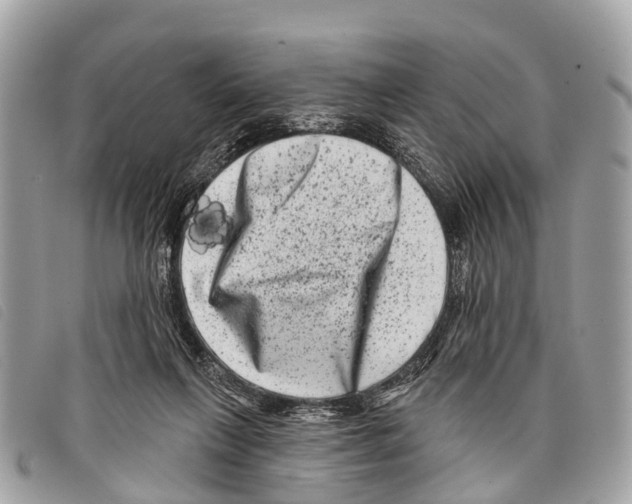 X0000097850263200804111135