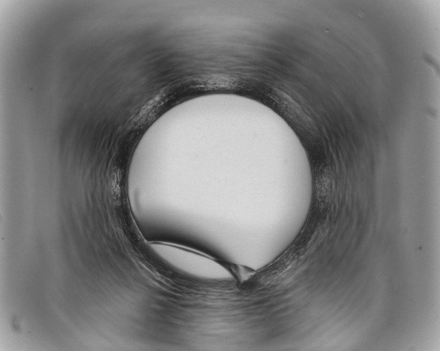 X0000097850264200804111135