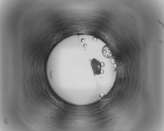 X0000097850265200804111135