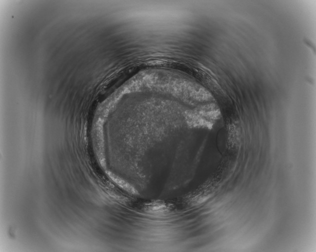 X0000097850267200804111135