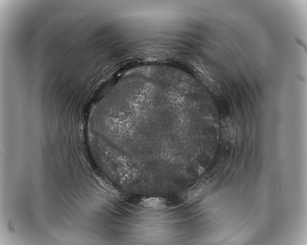 X0000097850269200804111135