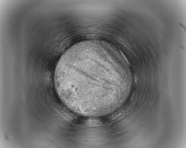 X0000097850270200804111135