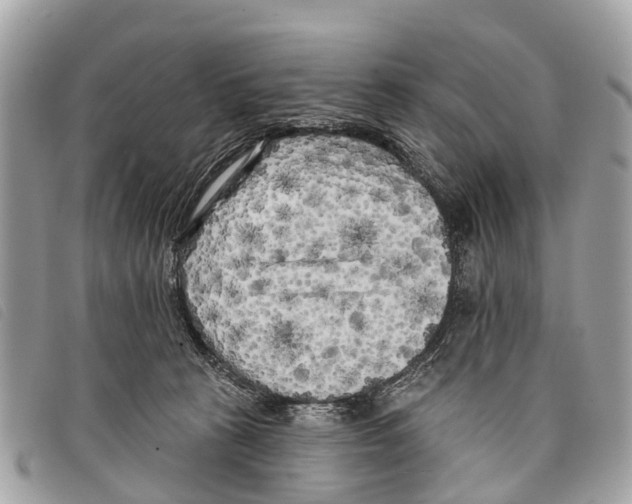 X0000097850273200804111135