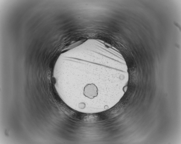 X0000097850274200804111135