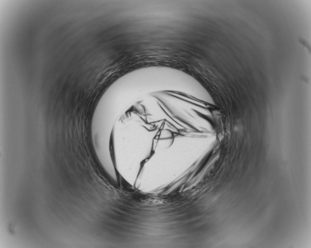 X0000097850276200804111135