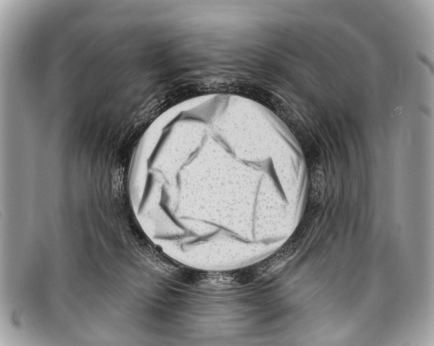 X0000097850278200804111135