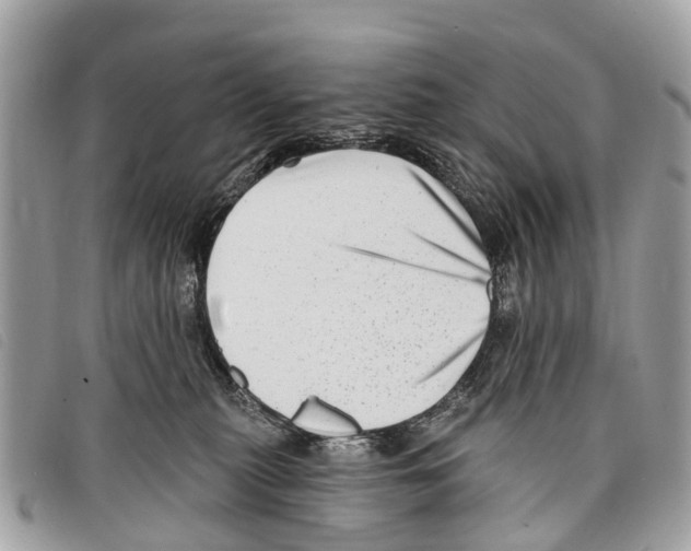 X0000097850279200804111135