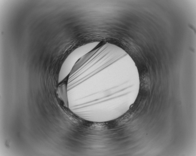 X0000097850280200804111135