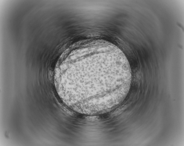 X0000097850281200804111135