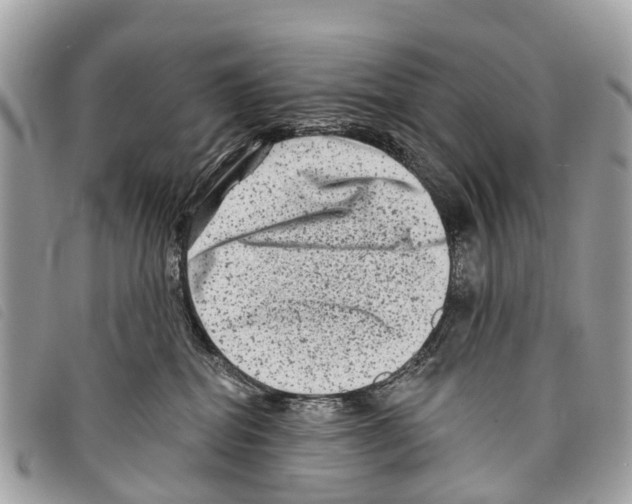 X0000097850282200804111135