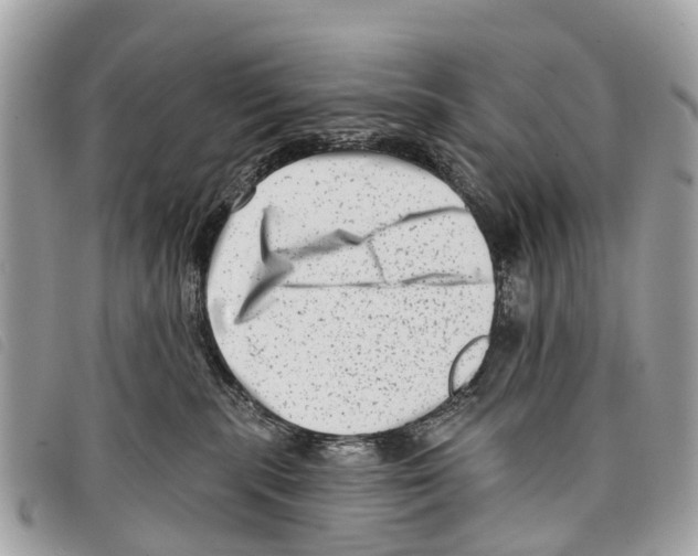 X0000097850283200804111135