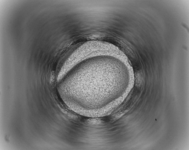 X0000097850284200804111135