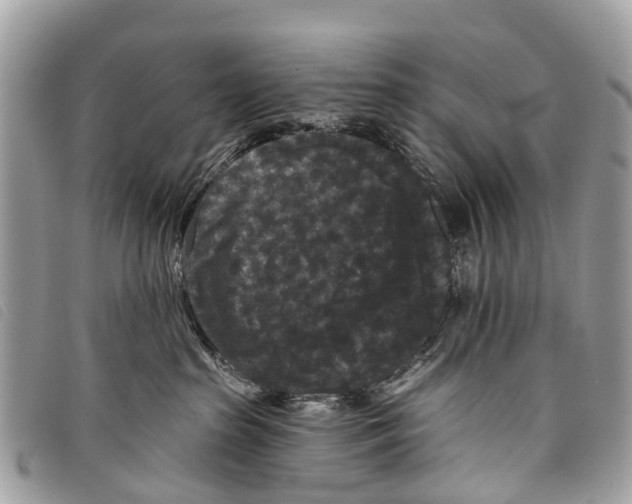 X0000097850285200804111135