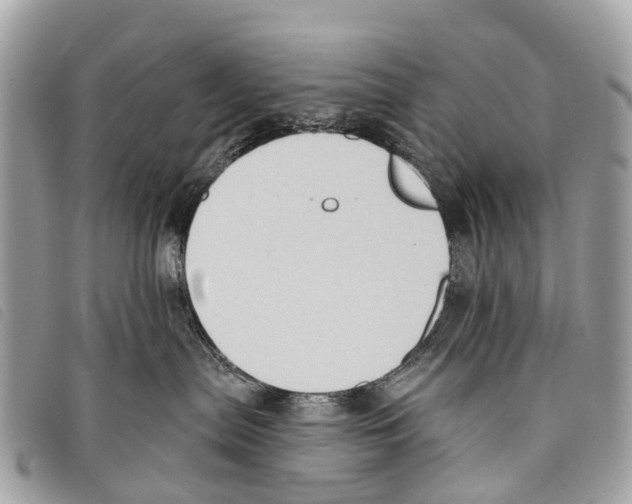 X0000097850287200804111135