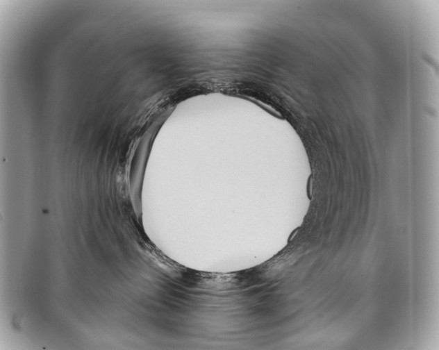 X0000097850288200804111135