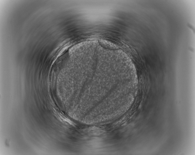 X0000097850290200804111135