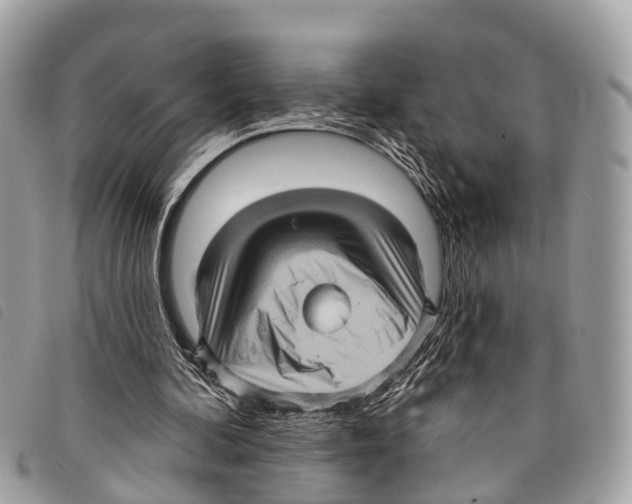 X0000097850292200804111135