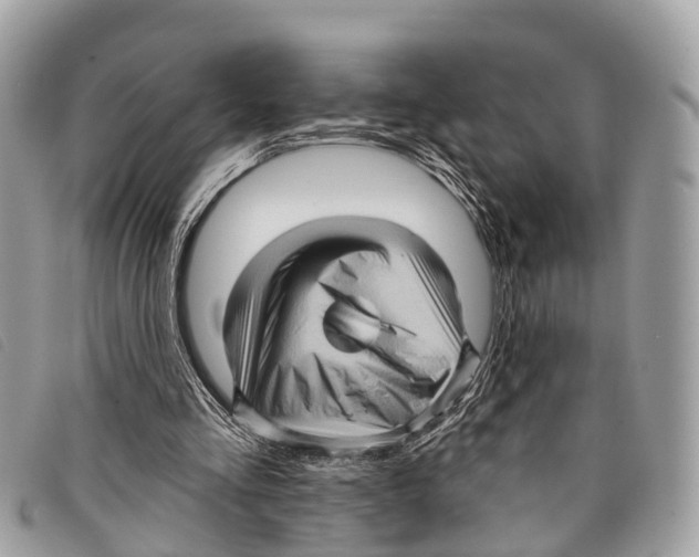 X0000097850293200804111135