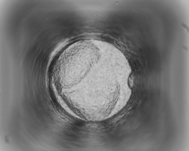 X0000097850294200804111135