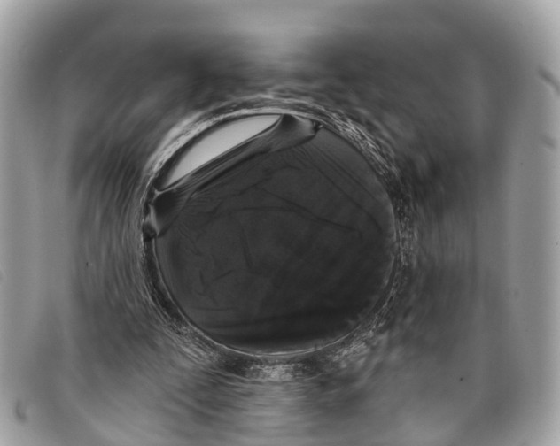 X0000097850295200804111135