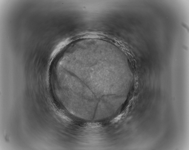 X0000097850296200804111135